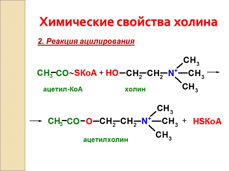 Химические свойства холина 2. Реакция ацилирования